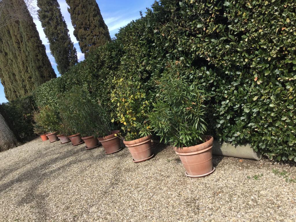 Villa Il Padule Bagno a Ripoli Esterno foto